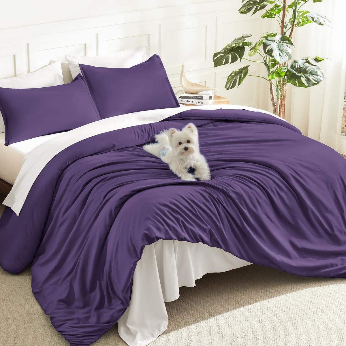 Litanika King Comforter Set Sage Green, 3 Pieces Lightweight Solid Bed Set