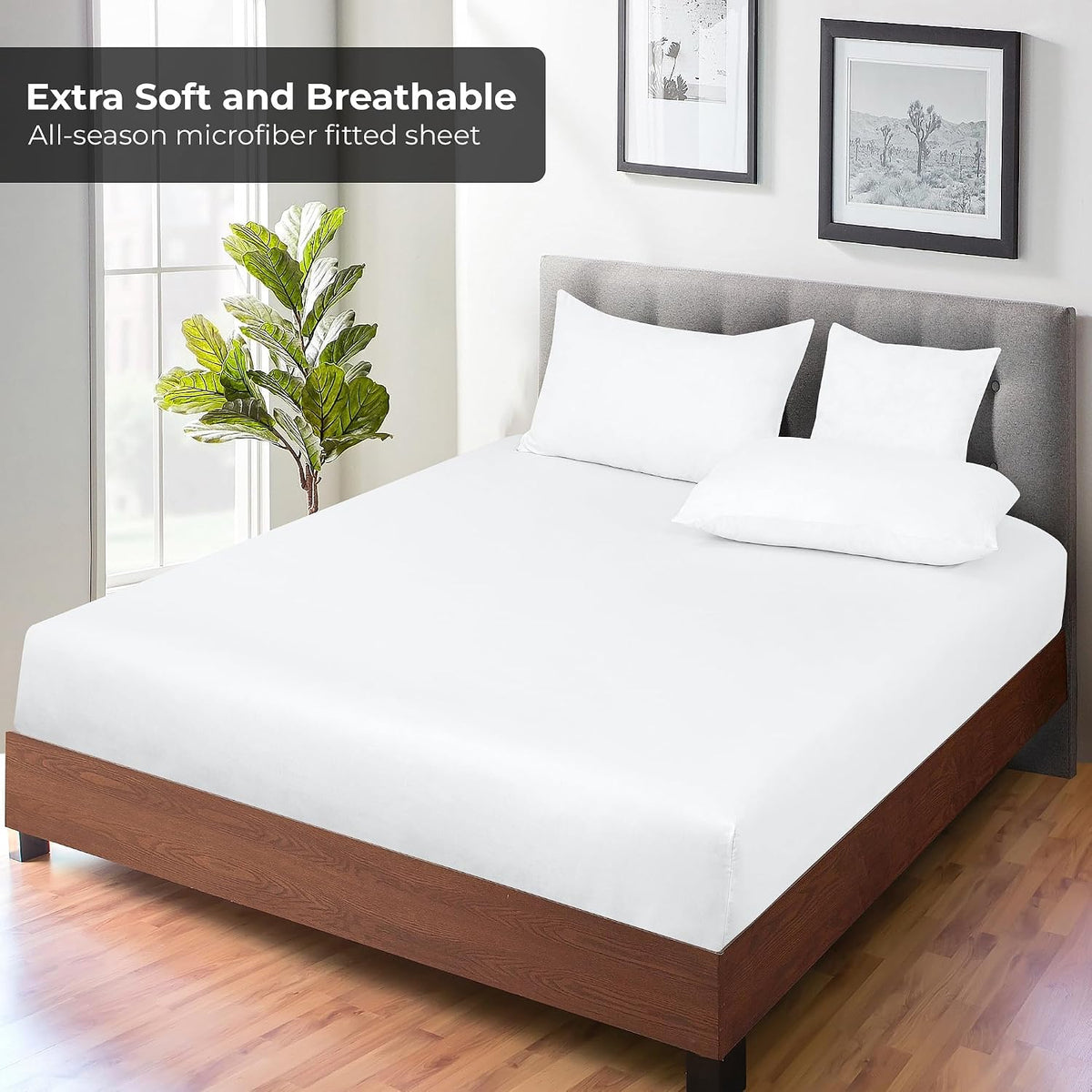 Royale Linens Fitted Sheet Queen - Ultra Soft 1800 Brushed Microfiber - Hotel Luxury Bottom Sheets - Wrinkle Free & Fade Resistant - Deep Pocket Fitted Sheet Only (Queen, White)