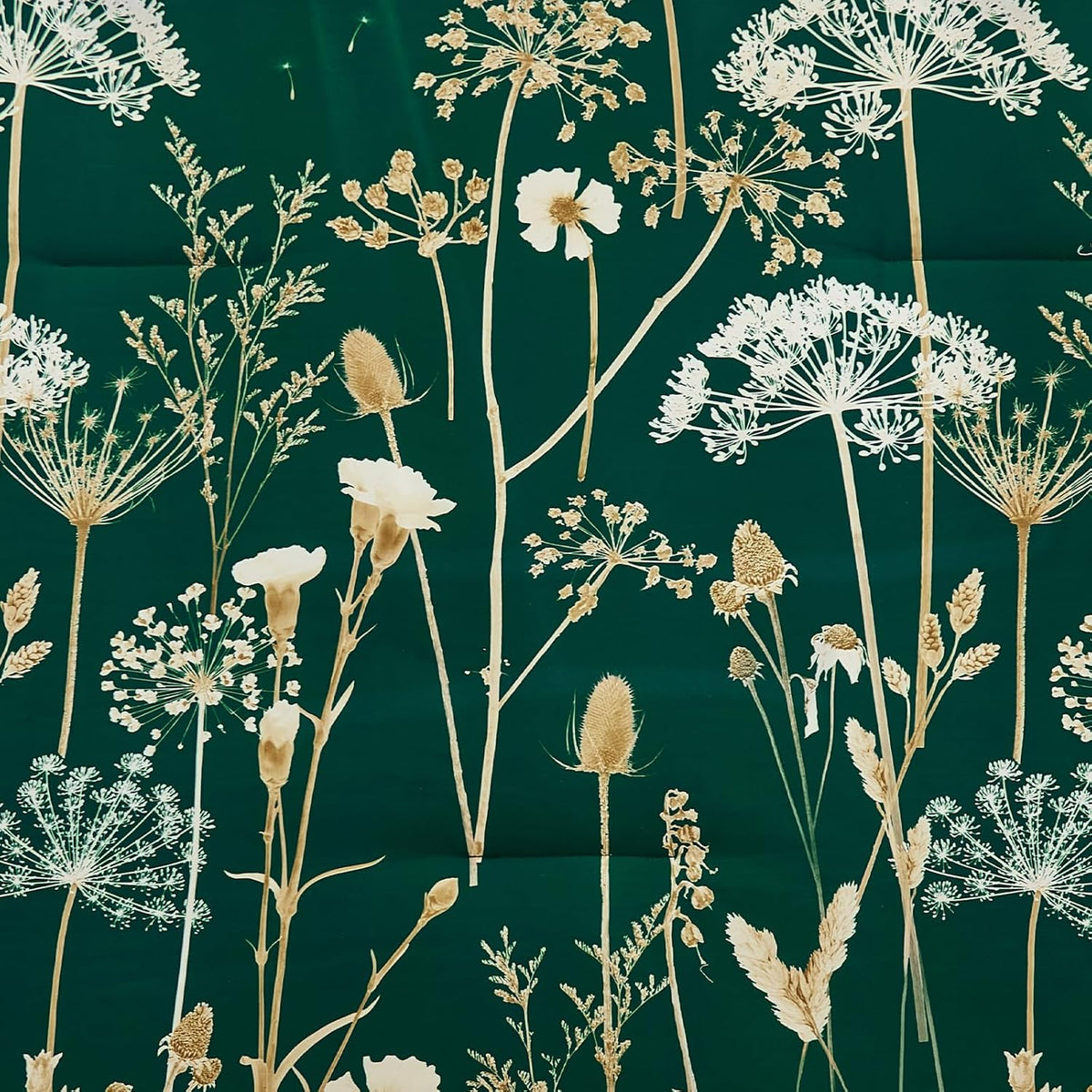 Yiran Queen Comforter Set, 7 Piece Floral Dark Green Bedding Set, Dandelion Botanical Bed in a Bag Queen, Soft Microfiber Complete Bedding Set with Comforter, Sheets, Pillowcases & Shams